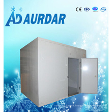 China Low Price Ice Cream Storage Cold Room Sale with High Quality